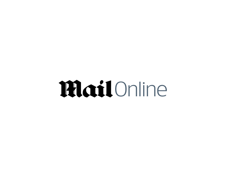 Daily Mail Logo